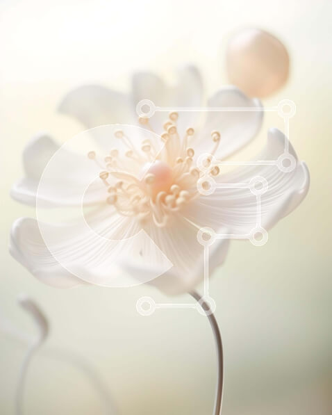 Intra Συλλεκτικό Ξύλινο Παζλ Plywood  4mm - Λευκό λουλούδι με μαργαριτάρια Σε Ξύλινο Κουτί - Διαστάσεις Puzzle: 10x10 cm – 25 κομμάτια