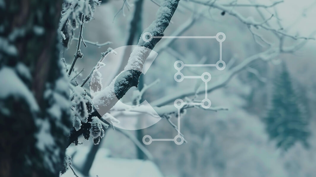 Intra Συλλεκτικό Ξύλινο Παζλ Plywood  4mm - Χιονισμένο κλαδί δέντρου στο χειμερινό δάσος Σε Ξύλινο Κουτί - Διαστάσεις: 10x10 cm – 25 κομμάτια