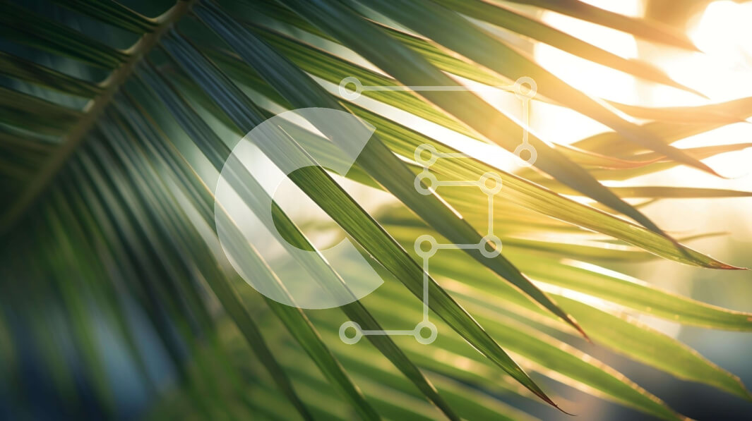 Intra Συλλεκτικό Ξύλινο Παζλ Plywood  4mm - Τροπικό φύλλο φοίνικα με το φως του ήλιου Σε Ξύλινο Κουτί - Διαστάσεις: 10x10 cm – 25 κομμάτια