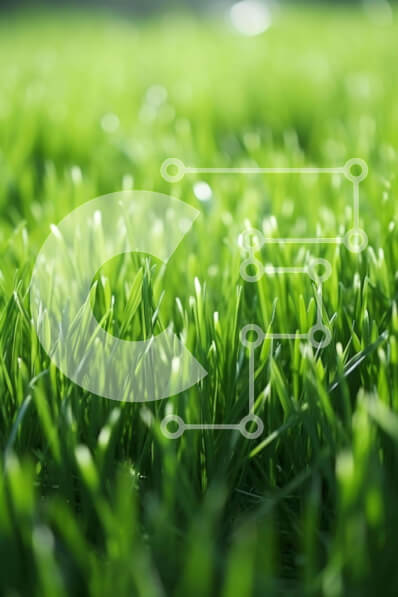 Σετ των 2 Intra Συλλεκτικό Ξύλινο Παζλ Plywood  4mm - Καταπράσινο γρασίδι στο φως του ήλιου Σε Ξύλινο Κουτί - Διαστάσεις: 10x10 cm – 25 κομμάτια