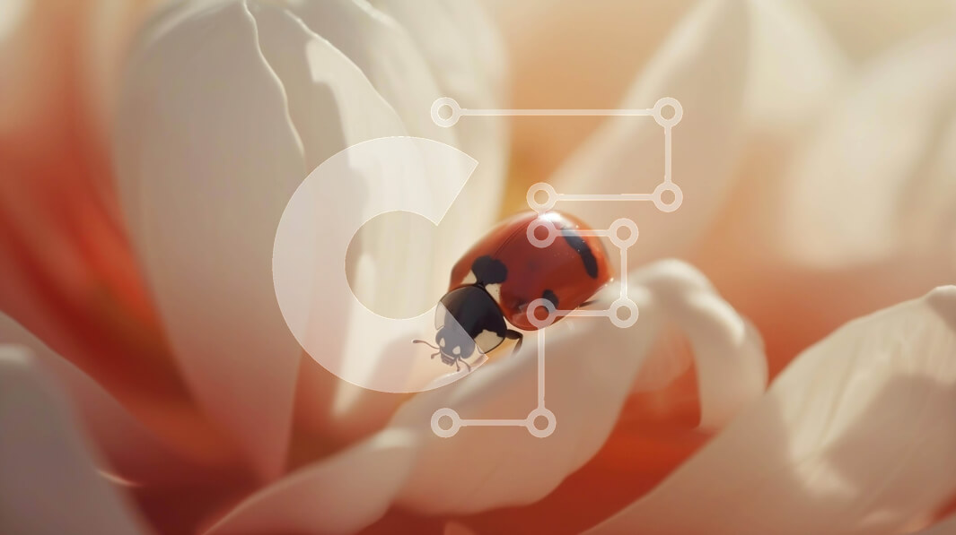 Intra Συλλεκτικό Ξύλινο Παζλ Plywood  4mm - Πασχαλίτσα στο πορτοκαλί λουλούδι Σε Ξύλινο Κουτί - Διαστάσεις: 10x10 cm – 25 κομμάτια