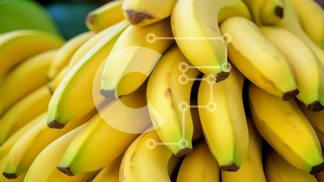 Σετ των 2 Intra Συλλεκτικό Ξύλινο Παζλ Plywood  4mm - Μπανάνες στοιβαγμένες η μία πάνω στην άλλη Σε Ξύλινο Κουτί - Διαστάσεις: 10x10 cm – 25 κομμάτια