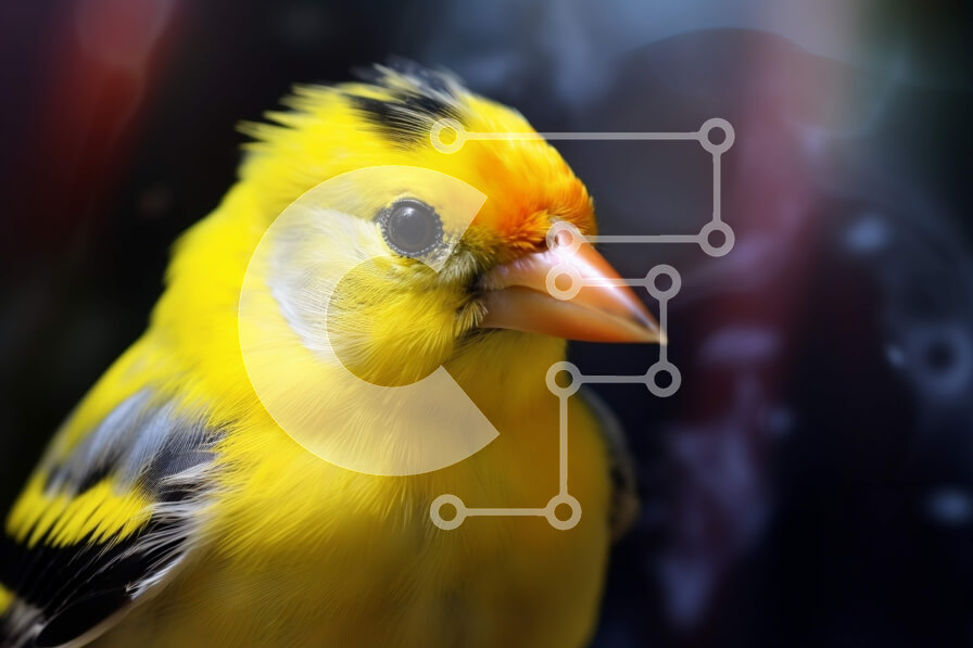 Σετ των 2 Intra Συλλεκτικό Ξύλινο Παζλ Plywood  4mm - Κίτρινο πουλί με μαύρα και πορτοκαλί σημάδια Σε Ξύλινο Κουτί - Διαστάσεις: 10x10 cm – 25 κομμάτια