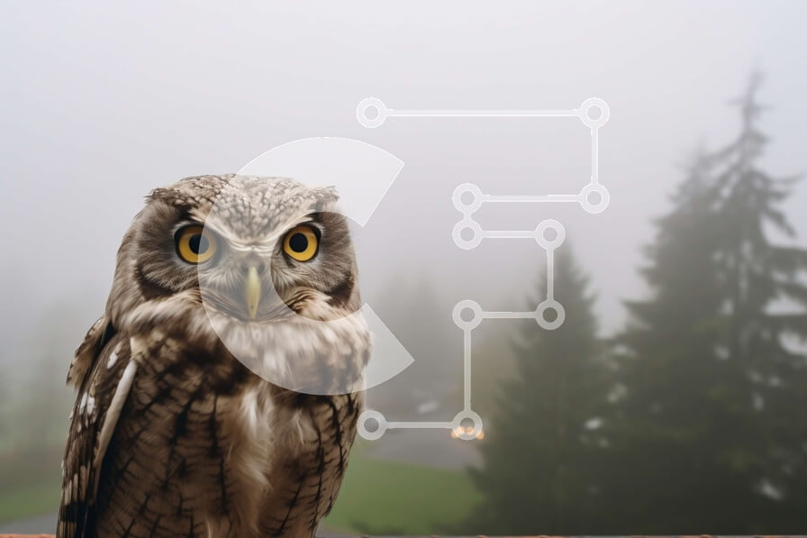 Σετ των 2 Intra Συλλεκτικό Ξύλινο Παζλ Plywood  4mm - Κουκουβάγια που κάθεται σε ένα κιγκλίδωμα στην ομίχλη Σε Ξύλινο Κουτί - Διαστάσεις: 10x10 cm – 25 κομμάτια