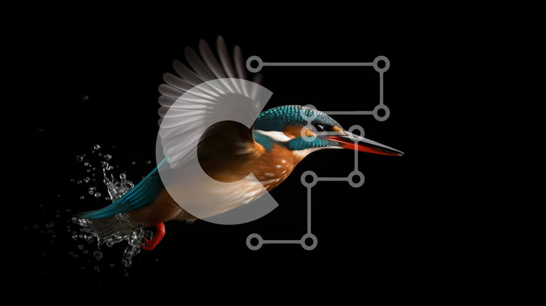 Σετ των 2 Intra Συλλεκτικό Ξύλινο Παζλ Plywood  4mm - Εκπληκτική εικόνα ενός πουλιού Kingfisher που πιάνει ψάρια κατά την πτήση Σε Ξύλινο Κουτί - Διαστάσεις: 10x10 cm – 25 κομμάτια