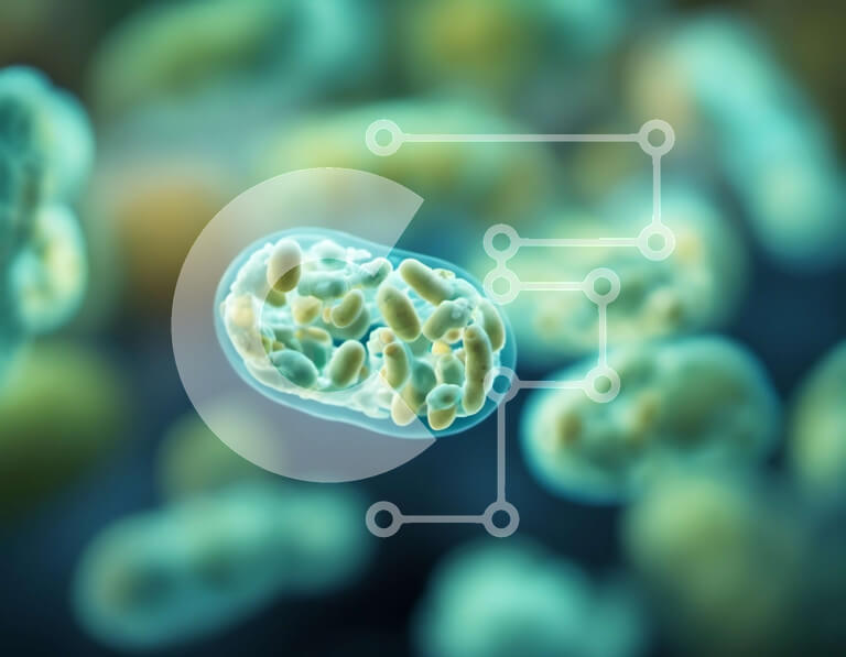 Intra Συλλεκτικό Ξύλινο Παζλ Plywood  4mm - Κοντινό πλάνο μικροσκοπικού οργανισμού Σε Ξύλινο Κουτί - Διαστάσεις Puzzle: 10x10 cm – 25 κομμάτια