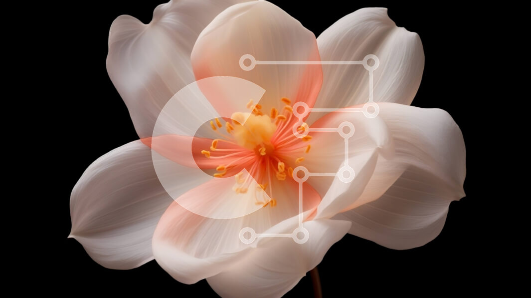 Intra Συλλεκτικό Ξύλινο Παζλ Plywood  4mm - Όμορφο λευκό λουλούδι με πορτοκαλί κέντρο Σε Ξύλινο Κουτί - Διαστάσεις: 10x10 cm – 25 κομμάτια