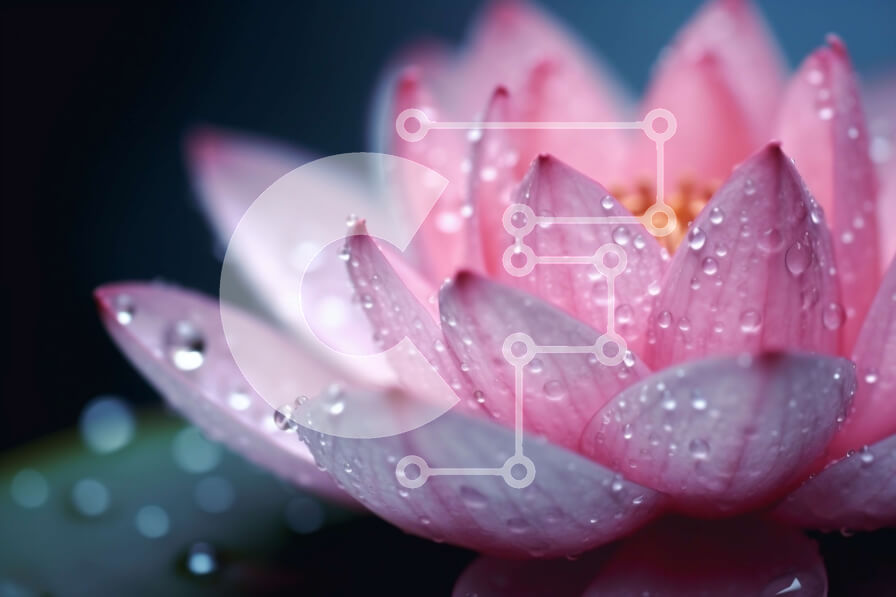 Intra Συλλεκτικό Ξύλινο Παζλ Plywood  4mm - Όμορφη εικόνα ενός ροζ λουλουδιού λωτού με σταγονίδια νερού Σε Ξύλινο Κουτί - Διαστάσεις: 10x10 cm – 25 κομμάτια