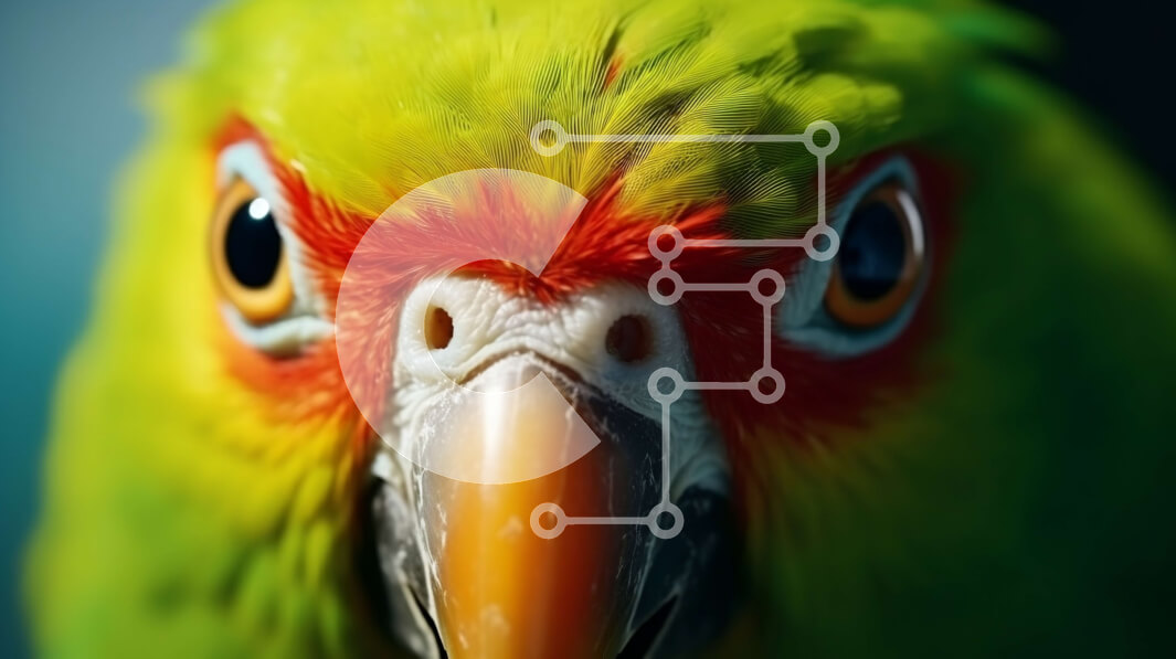 Σετ των 2 Intra Συλλεκτικό Ξύλινο Παζλ Plywood  4mm - Πολύχρωμο πουλί κινηματογράφηση σε πρώτο πλάνο Σε Ξύλινο Κουτί - Διαστάσεις: 10x10 cm – 25 κομμάτια