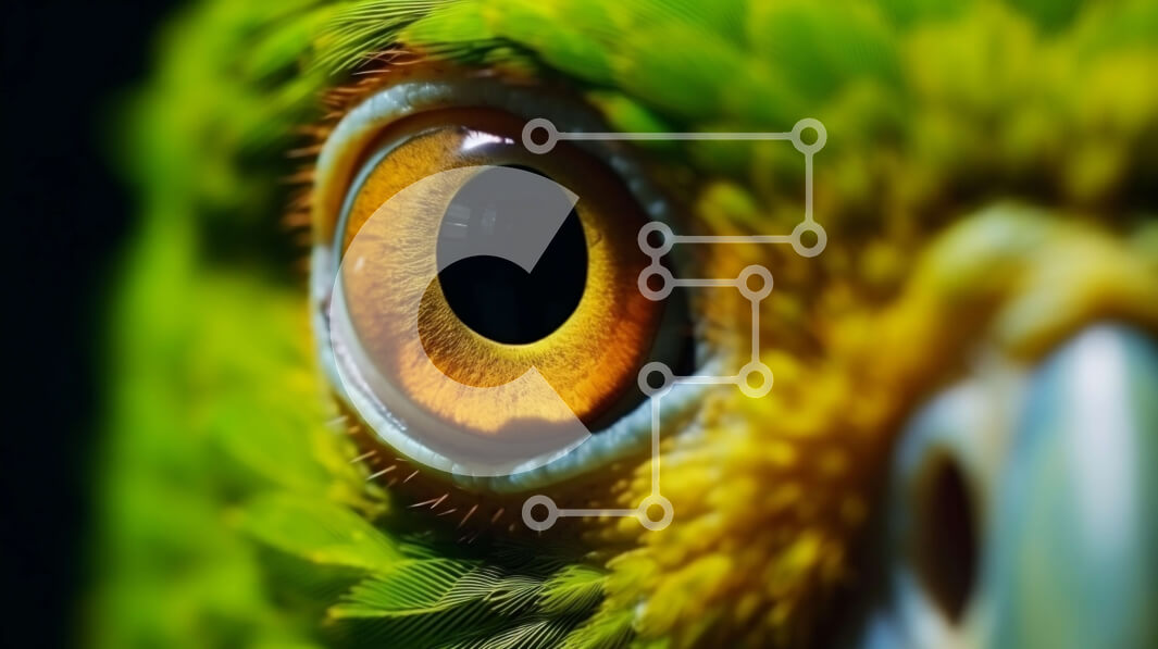 Σετ των 2 Intra Συλλεκτικό Ξύλινο Παζλ Plywood  4mm - Κοντινό πλάνο ενός πράσινου και κίτρινου ματιού πουλιού Σε Ξύλινο Κουτί - Διαστάσεις: 10x10 cm – 25 κομμάτια