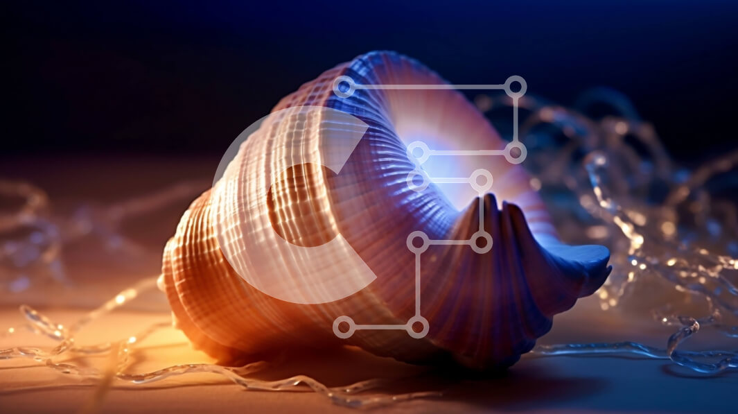 Intra Συλλεκτικό Ξύλινο Παζλ Plywood  4mm - Όμορφη κινηματογράφηση σε πρώτο πλάνο με κοχύλι με ιριδίζουσα επιφάνεια Σε Ξύλινο Κουτί - Διαστάσεις: 10x10 cm – 25 κομμάτια