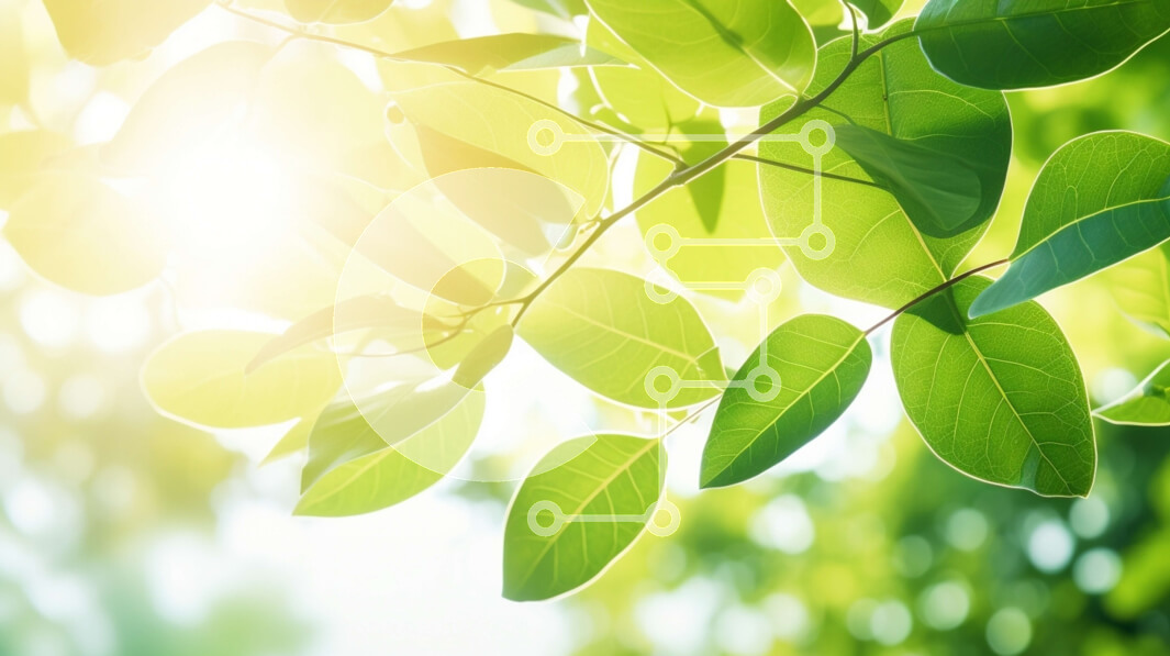 Intra Συλλεκτικό Ξύλινο Παζλ Plywood  4mm - Ηλιόλουστο κλαδί δέντρου με πράσινα φύλλα Σε Ξύλινο Κουτί - Διαστάσεις: 10x10 cm – 25 κομμάτια