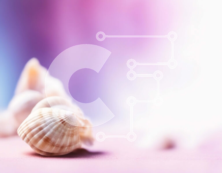 Intra Συλλεκτικό Ξύλινο Παζλ Plywood  4mm - Κοχύλια σε ροζ και μοβ φόντο Σε Ξύλινο Κουτί - Διαστάσεις: 10x10 cm – 25 κομμάτια