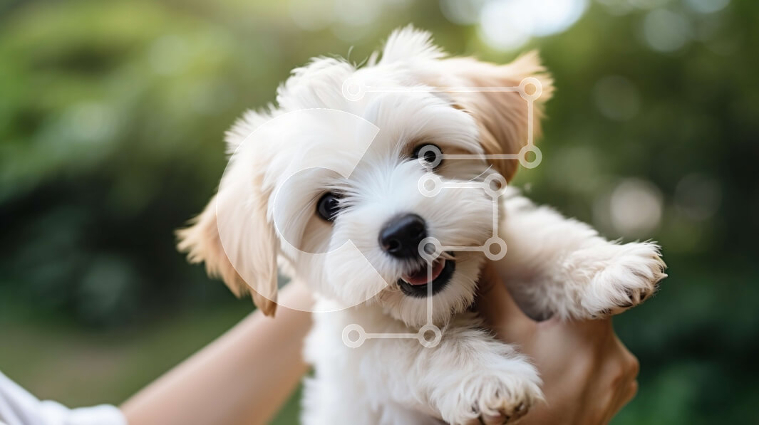 Σετ των 2 Intra Συλλεκτικό Ξύλινο Παζλ Plywood  4mm - Ευτυχισμένος σκύλος που κρατιέται στα χέρια κάποιου Σε Ξύλινο Κουτί - Διαστάσεις: 10x10 cm – 25 κομμάτια