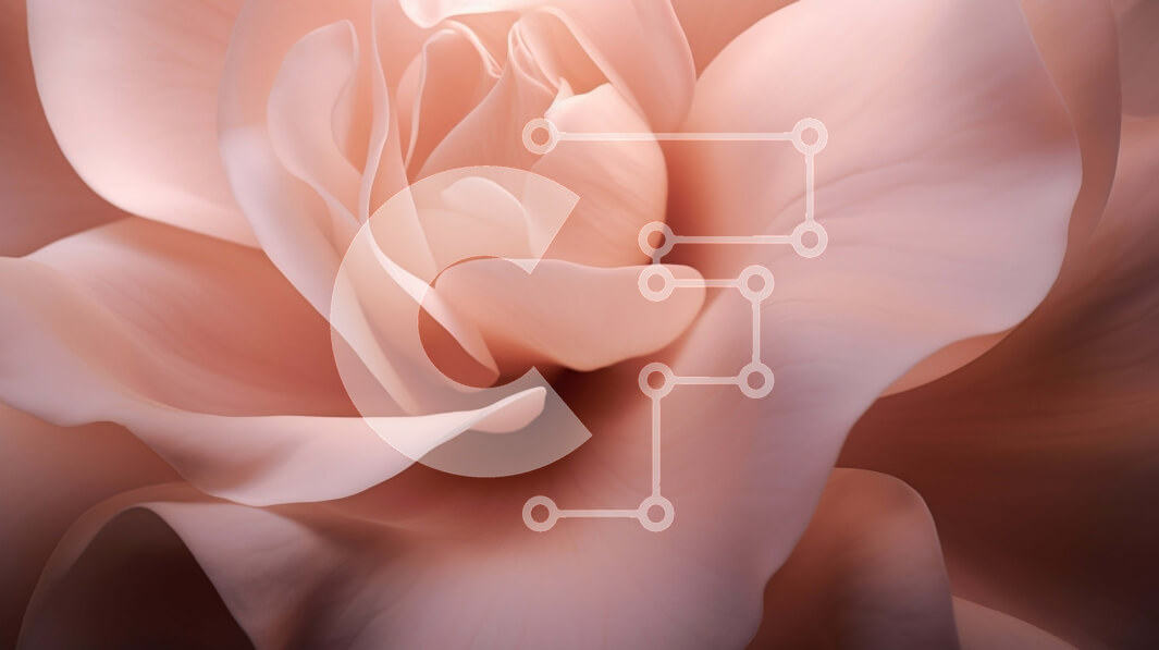 Intra Συλλεκτικό Ξύλινο Παζλ Plywood  4mm - Αφηρημένη κινηματογράφηση σε πρώτο πλάνο ροζ λουλουδιών Σε Ξύλινο Κουτί - Διαστάσεις: 10x10 cm – 25 κομμάτια