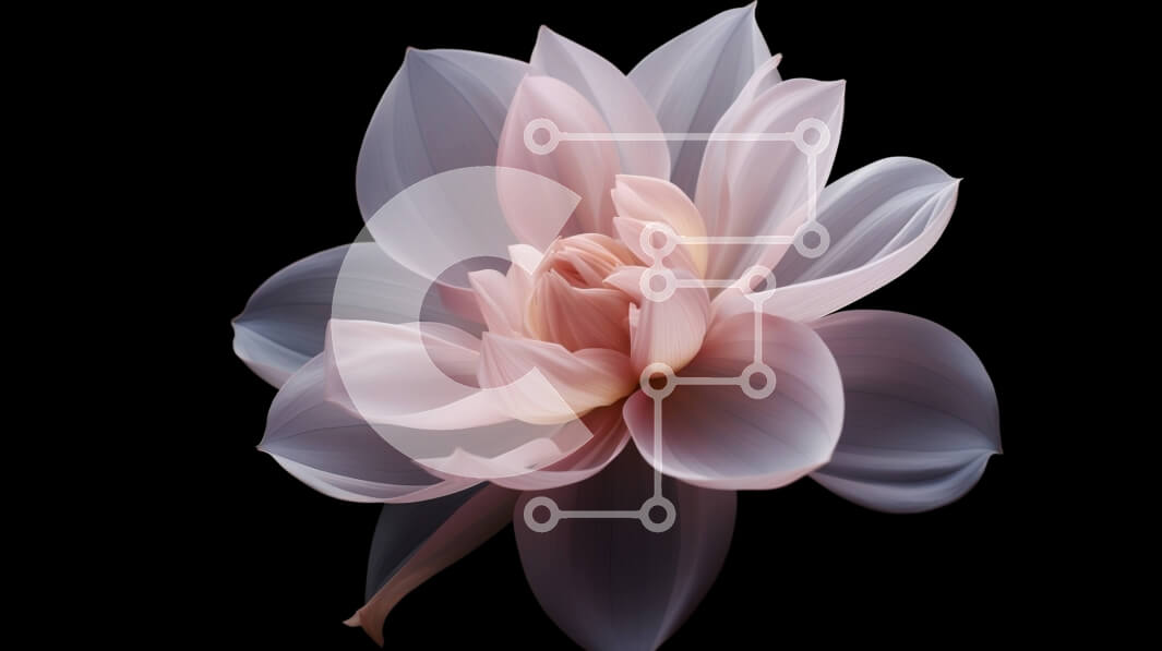 Intra Συλλεκτικό Ξύλινο Παζλ Plywood  4mm - Ροζ λουλούδι που ανθίζει σε μαύρο φόντο Σε Ξύλινο Κουτί - Διαστάσεις: 10x10 cm – 25 κομμάτια