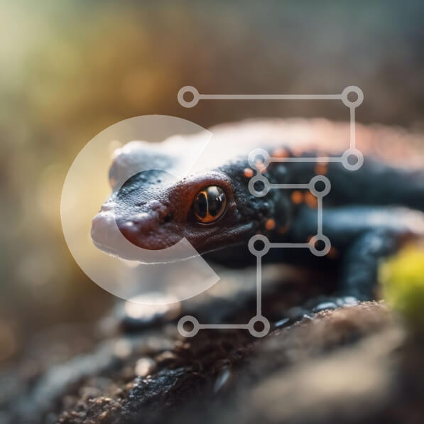 Intra Συλλεκτικό Ξύλινο Παζλ Plywood  4mm - Κοντινή όψη μιας πολύχρωμης σαλαμάνδρας σε ένα δάσος Σε Ξύλινο Κουτί - Διαστάσεις: 10x10 cm – 25 κομμάτια