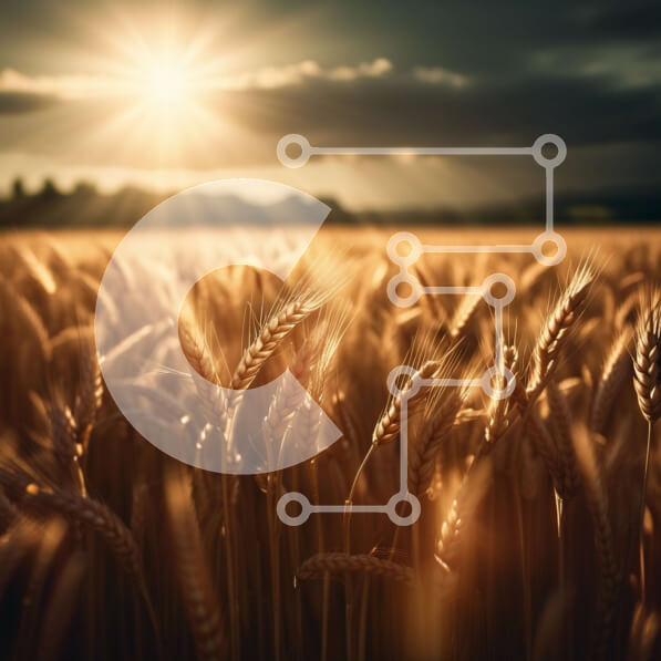 Intra Συλλεκτικό Ξύλινο Παζλ Plywood  4mm - Όμορφη εικόνα ενός χωραφιού με ώριμο σιτάρι στο ηλιοβασίλεμα Σε Ξύλινο Κουτί - Διαστάσεις: 10x10 cm – 25 κομμάτια