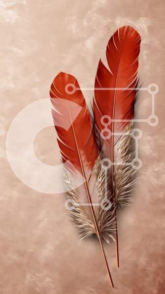 Σετ των 2 Intra Συλλεκτικό Ξύλινο Παζλ Plywood  4mm - Ζωντανή εικόνα δύο κόκκινων φτερών σε ουδέτερο φόντο Σε Ξύλινο Κουτί - Διαστάσεις: 10x10 cm – 25 κομμάτια