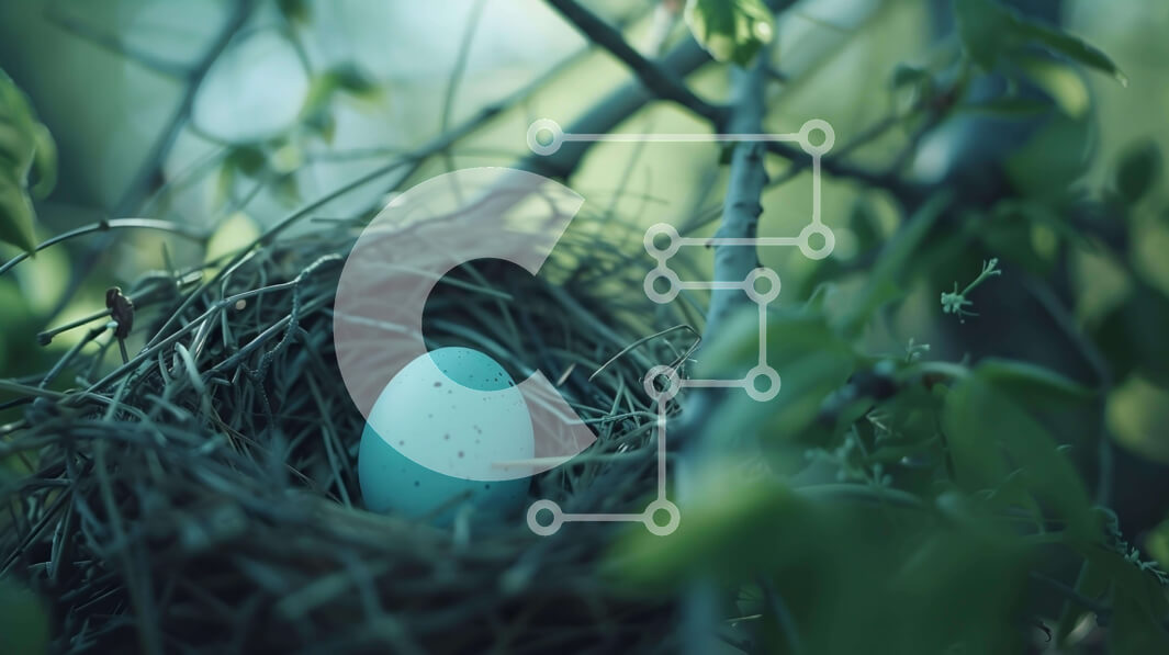 Intra Συλλεκτικό Ξύλινο Παζλ Plywood  4mm - Μπλε αυγό φωλιασμένο σε κλαδί δέντρου Σε Ξύλινο Κουτί - Διαστάσεις: 10x10 cm – 25 κομμάτια