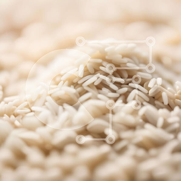 Σετ των 2 Intra Συλλεκτικό Ξύλινο Παζλ Plywood  4mm - Κοντινό πλάνο Λευκό Ρύζι Σε Ξύλινο Κουτί - Διαστάσεις: 10x10 cm – 25 κομμάτια