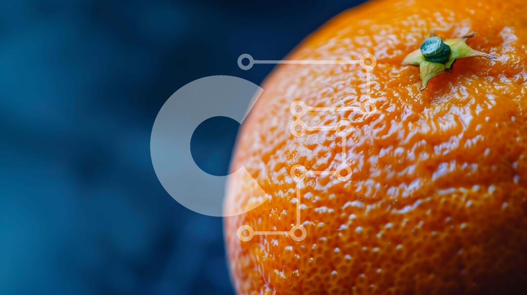 Σετ των 2 Intra Συλλεκτικό Ξύλινο Παζλ Plywood  4mm - Κοντινό πλάνο του πορτοκαλί σε σκοτεινή επιφάνεια Σε Ξύλινο Κουτί - Διαστάσεις: 10x10 cm – 25 κομμάτια