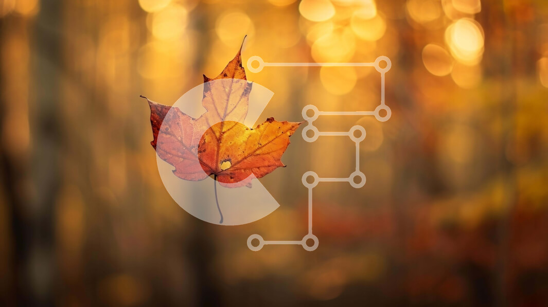 Intra Συλλεκτικό Ξύλινο Παζλ Plywood  4mm - Κόκκινο φύλλο σφενδάμου που επιπλέει στο δάσος Σε Ξύλινο Κουτί - Διαστάσεις: 10x10 cm – 25 κομμάτια