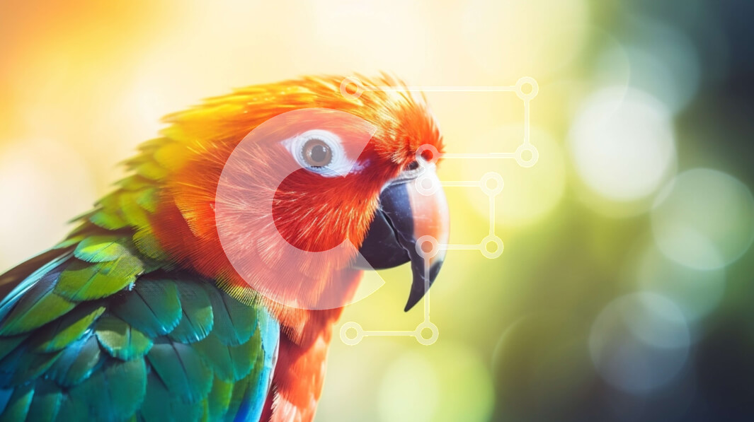 Σετ των 2 Intra Συλλεκτικό Ξύλινο Παζλ Plywood  4mm - Πολύχρωμος παπαγάλος στην πέρκα Σε Ξύλινο Κουτί - Διαστάσεις: 10x10 cm – 25 κομμάτια