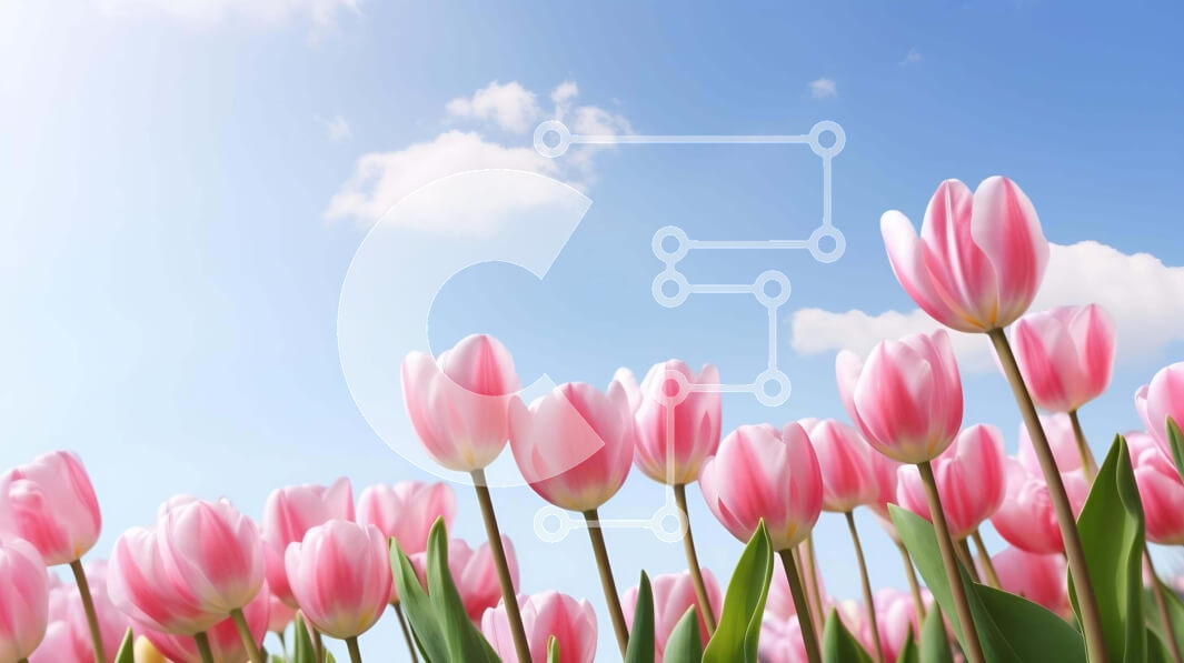 Intra Συλλεκτικό Ξύλινο Παζλ Plywood  4mm - Ανθισμένες ροζ τουλίπες την άνοιξη Σε Ξύλινο Κουτί - Διαστάσεις: 10x10 cm – 25 κομμάτια