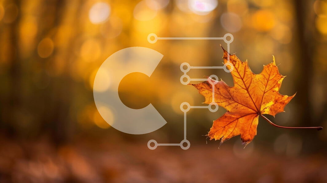 Intra Συλλεκτικό Ξύλινο Παζλ Plywood  4mm - Ενιαίο πορτοκαλί φύλλο που επιπλέει σε ένα φθινοπωρινό δάσος Σε Ξύλινο Κουτί - Διαστάσεις: 10x10 cm – 25 κομμάτια