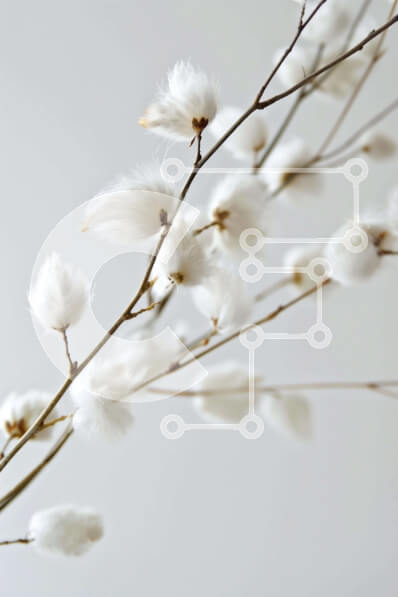 Σετ των 2 Intra Συλλεκτικό Ξύλινο Παζλ Plywood  4mm - Λευκό βαμβακερό κλαδί που επιπλέει στον αέρα Σε Ξύλινο Κουτί - Διαστάσεις: 10x10 cm – 25 κομμάτια