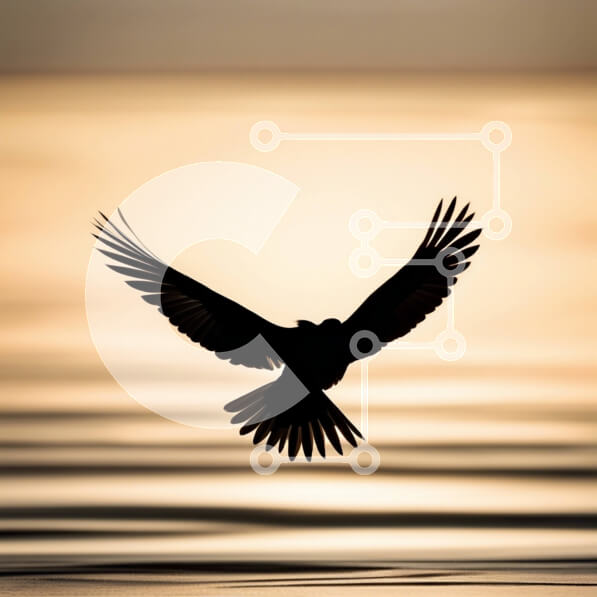 Intra Συλλεκτικό Ξύλινο Παζλ Plywood  4mm - Εκπληκτική εικόνα ενός πουλιού που πετά πάνω από ένα γαλήνιο υδάτινο σώμα στο ηλιοβασίλεμα Σε Ξύλινο Κουτί - Διαστάσεις: 10x10 cm – 25 κομμάτια