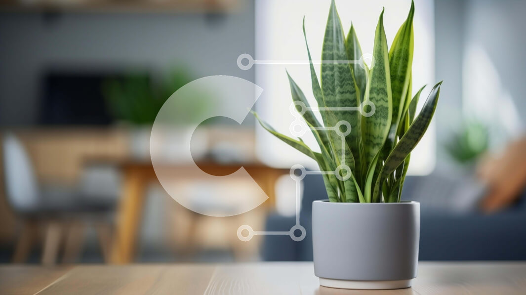 Intra Συλλεκτικό Ξύλινο Παζλ Plywood  4mm - Μικρό φυτό σε γλάστρα σε ξύλινο τραπέζι στο σαλόνι Σε Ξύλινο Κουτί - Διαστάσεις Puzzle: 10x10 cm – 25 κομμάτια