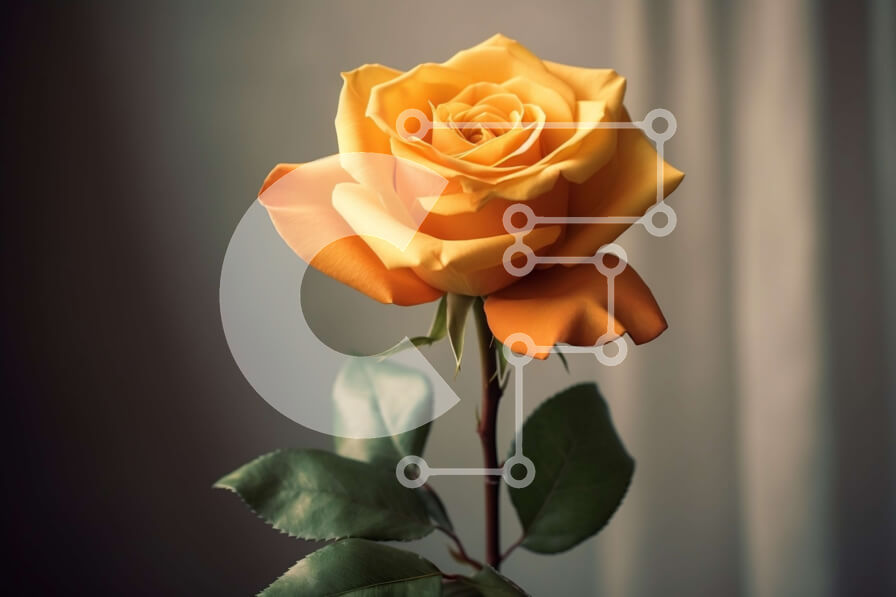 Intra Συλλεκτικό Ξύλινο Παζλ Plywood  4mm - Όμορφη εικόνα ενός ενιαίου κίτρινου τριαντάφυλλου μπροστά από μια σκοτεινή κουρτίνα Σε Ξύλινο Κουτί - Διαστάσεις: 10x10 cm – 25 κομμάτια