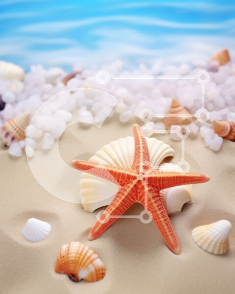 Intra Συλλεκτικό Ξύλινο Παζλ Plywood  4mm - Χαλαρωτική σκηνή στην παραλία με άμμο, κοχύλια και αστερίες Σε Ξύλινο Κουτί - Διαστάσεις: 10x10 cm – 25 κομμάτια