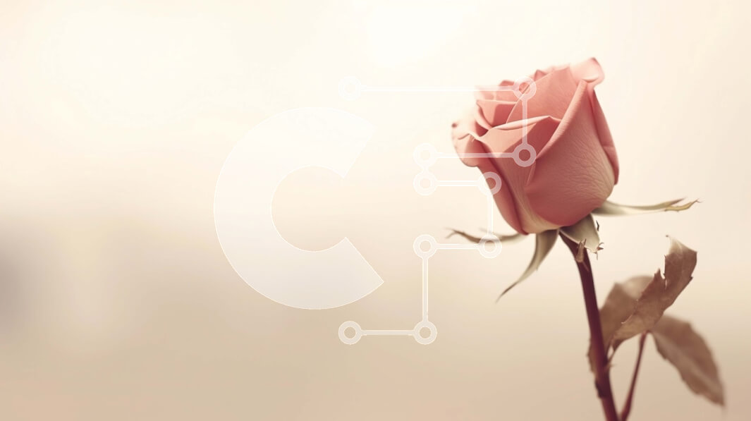 Intra Συλλεκτικό Ξύλινο Παζλ Plywood  4mm - Μονό ροζ τριαντάφυλλο σε ένα άδειο βάζο Σε Ξύλινο Κουτί - Διαστάσεις: 10x10 cm – 25 κομμάτια