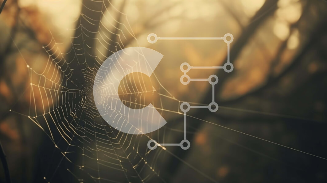 Intra Συλλεκτικό Ξύλινο Παζλ Plywood  4mm - Ιστός αράχνης στο δάσος, φυσικός βιότοπος Σε Ξύλινο Κουτί - Διαστάσεις: 10x10 cm – 25 κομμάτια