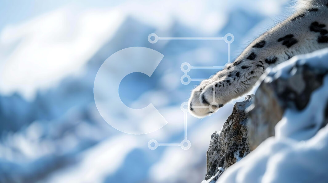 Intra Συλλεκτικό Ξύλινο Παζλ Plywood  4mm - Snow Leopard's Paw in the Snow Σε Ξύλινο Κουτί - Διαστάσεις: 10x10 cm – 25 κομμάτια