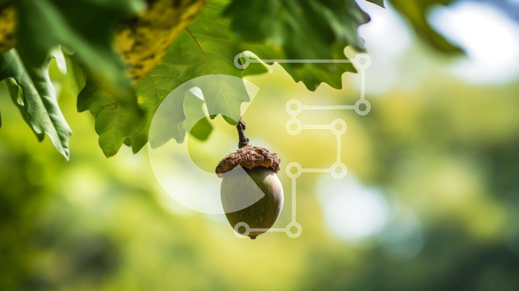 Intra Συλλεκτικό Ξύλινο Παζλ Plywood  4mm - Βελανίδι που κρέμεται από κλαδί δέντρου Σε Ξύλινο Κουτί - Διαστάσεις: 10x10 cm – 25 κομμάτια