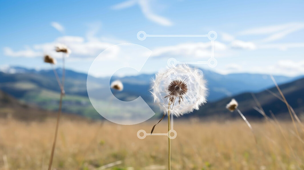 Intra Συλλεκτικό Ξύλινο Παζλ Plywood  4mm - Λουλούδια πικραλίδας σε ένα χορταριασμένο χωράφι με βουνά στο φόντο Σε Ξύλινο Κουτί - Διαστάσεις: 10x10 cm – 25 κομμάτια