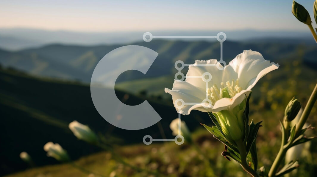 Intra Συλλεκτικό Ξύλινο Παζλ Plywood  4mm - Λευκό λουλούδι στο ορεινό τοπίο Σε Ξύλινο Κουτί - Διαστάσεις: 10x10 cm – 25 κομμάτια