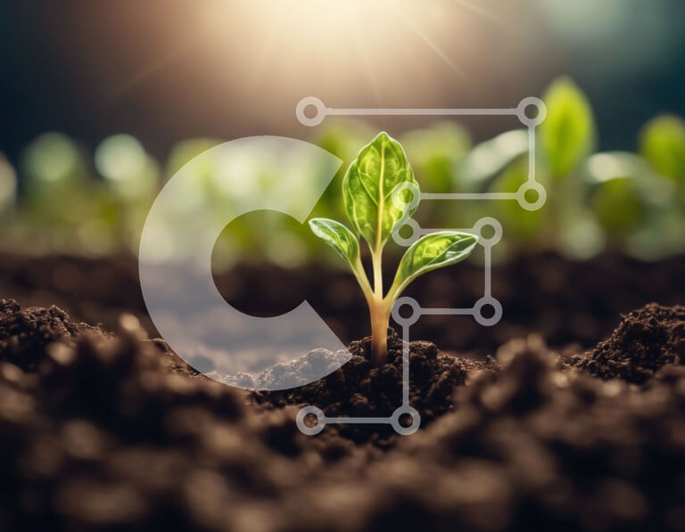 Intra Συλλεκτικό Ξύλινο Παζλ Plywood  4mm - Νεαρό φυτό που βλασταίνει από το έδαφος με τον ήλιο στο φόντο Σε Ξύλινο Κουτί - Διαστάσεις: 10x10 cm – 25 κομμάτια