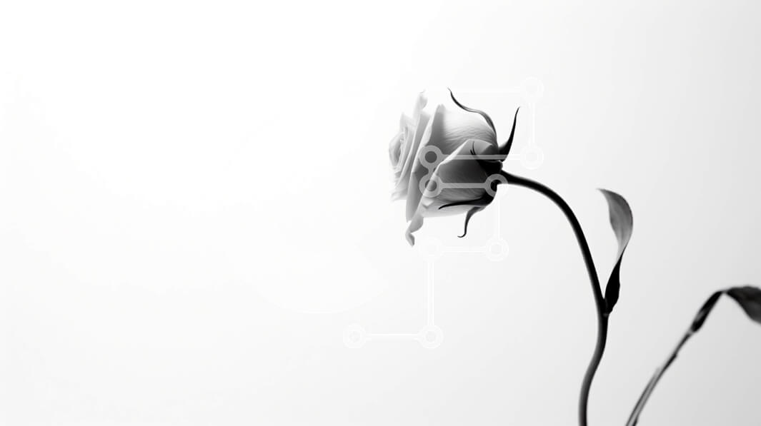 Intra Συλλεκτικό Ξύλινο Παζλ Plywood  4mm - Μαύρο και άσπρο λουλούδι Σε Ξύλινο Κουτί - Διαστάσεις: 10x10 cm – 25 κομμάτια