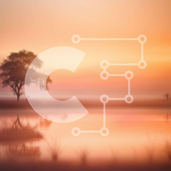 Intra Συλλεκτικό Ξύλινο Παζλ Plywood  4mm - Όμορφη εικόνα ενός μοναχικού δέντρου στο ηλιοβασίλεμα στο νερό Σε Ξύλινο Κουτί - Διαστάσεις: 10x10 cm – 25 κομμάτια