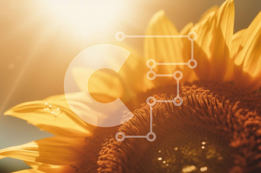 Intra Συλλεκτικό Ξύλινο Παζλ Plywood  4mm - Όμορφη κοντινή φωτογραφία ενός ηλίανθου με τον ήλιο να λάμπει Σε Ξύλινο Κουτί - Διαστάσεις: 10x10 cm – 25 κομμάτια