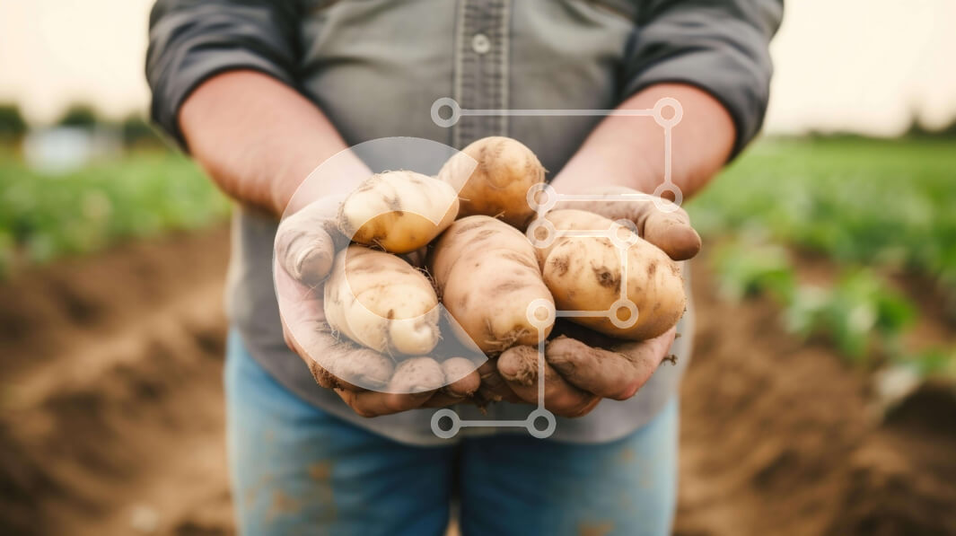 Intra Συλλεκτικό Ξύλινο Παζλ Plywood  4mm - Άνθρωπος που συγκομίζει πατάτες από το χωράφι Σε Ξύλινο Κουτί - Διαστάσεις Puzzle: 10x10 cm – 25 κομμάτια