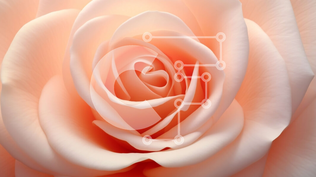 Intra Συλλεκτικό Ξύλινο Παζλ Plywood  4mm - Όμορφη εικόνα ενός λευκού τριαντάφυλλου σε πλήρη άνθιση Σε Ξύλινο Κουτί - Διαστάσεις: 10x10 cm – 25 κομμάτια