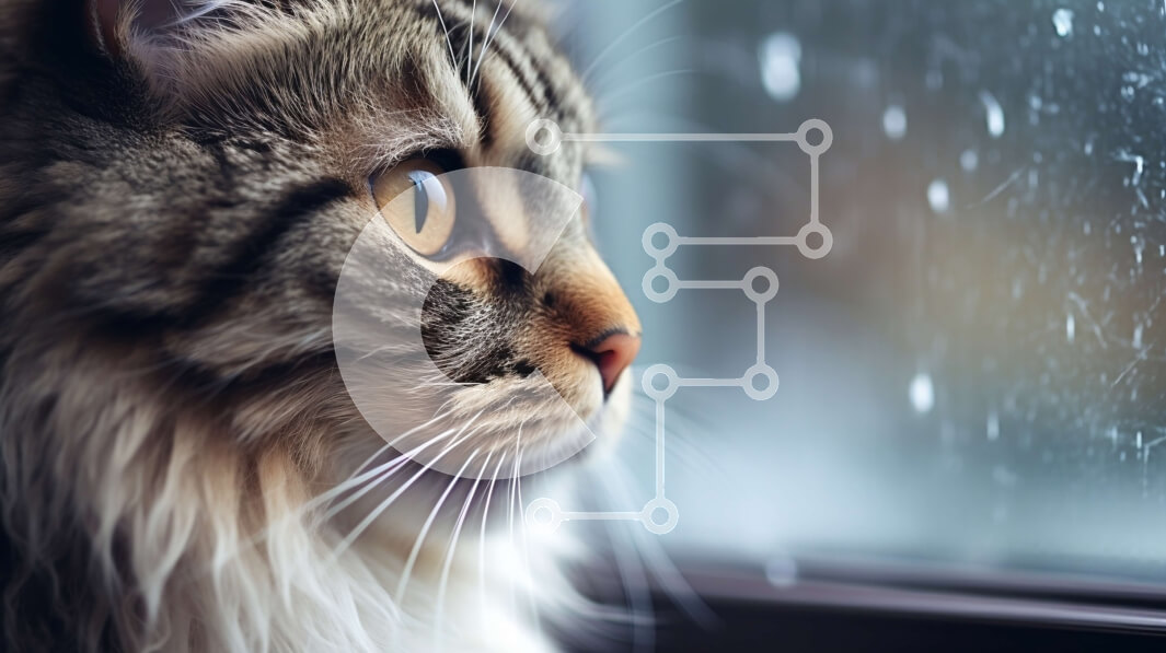 Intra Συλλεκτικό Ξύλινο Παζλ Plywood  4mm - Κοντινό πλάνο του προσώπου της γάτας που κοιτάζει έξω από ένα παράθυρο Σε Ξύλινο Κουτί - Διαστάσεις: 10x10 cm – 25 κομμάτια