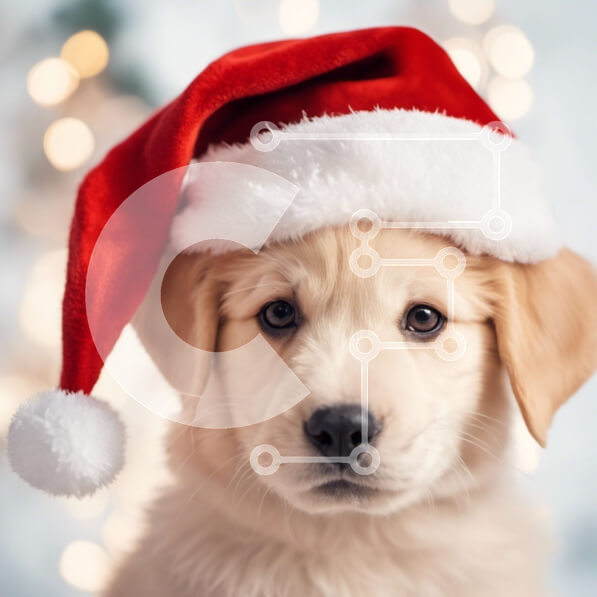 Intra Συλλεκτικό Ξύλινο Παζλ Plywood  4mm - Αξιολάτρευτο κουτάβι με καπέλο Άγιου Βασίλη Σε Ξύλινο Κουτί - Διαστάσεις: 10x10 cm – 25 κομμάτια