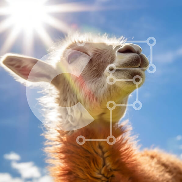 Intra Συλλεκτικό Ξύλινο Παζλ Plywood  4mm - Αξιολάτρευτη φωτογραφία του μωρού λάμα που κοιτάζει ψηλά στον ήλιο Σε Ξύλινο Κουτί - Διαστάσεις: 10x10 cm – 25 κομμάτια